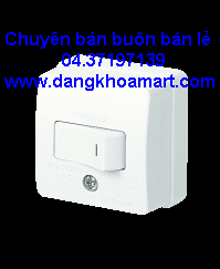 Công Tắc B Đơn Loại Nổi WSG3001