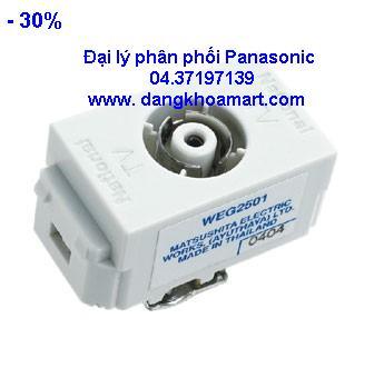 Ổ cắm anten Panasonic WEV2501SW