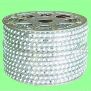 Đèn Led dây ngoài trời NST0604