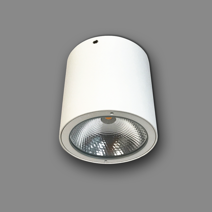 Đèn LED Downlight Trụ Ngoài Trời NSDL2236-73 Ánh Sáng Vàng